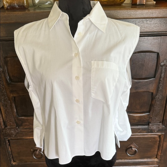 NWT Zara Sleeveless Button-Up Shirt - Picture 1 of 9